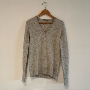 Everlane cashmere v-neck sweater